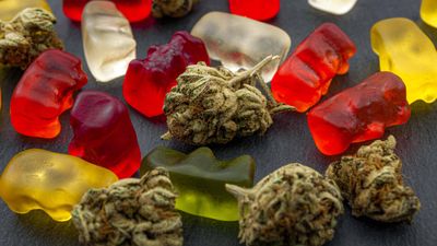 Cannabis Linked to Decreased Use of Opioids: This Week in Cannabis Investing