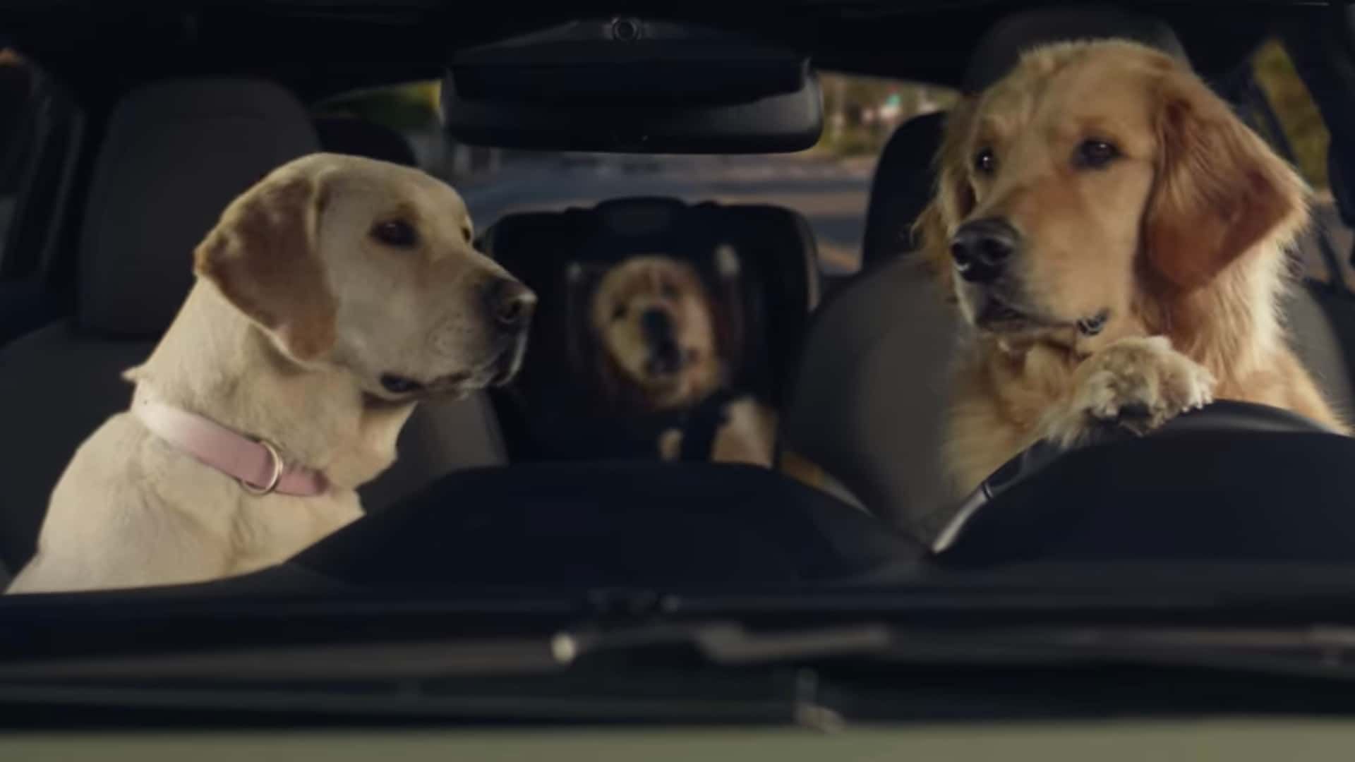 Watch Subaru's Six Adorable New Dog Commercials For…