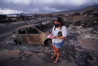 Survivors of Maui's fires return home to ruins, death toll up to 67. New blaze prompts evacuations