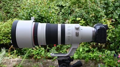 Canon RF 100-300mm F2.8L IS USM review