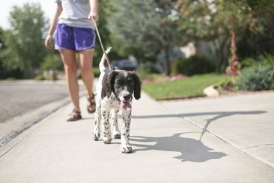 Just how much exercise do I need each week—and does walking even count? The answers, according to experts, are encouraging