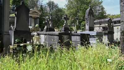 Full of life: Paris's Pere Lachaise cemetery goes greener