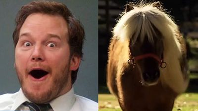 Chris Pratt Speaks Out After Parks And Rec Alums Took To The Picket Lines With Lil’ Sebastian