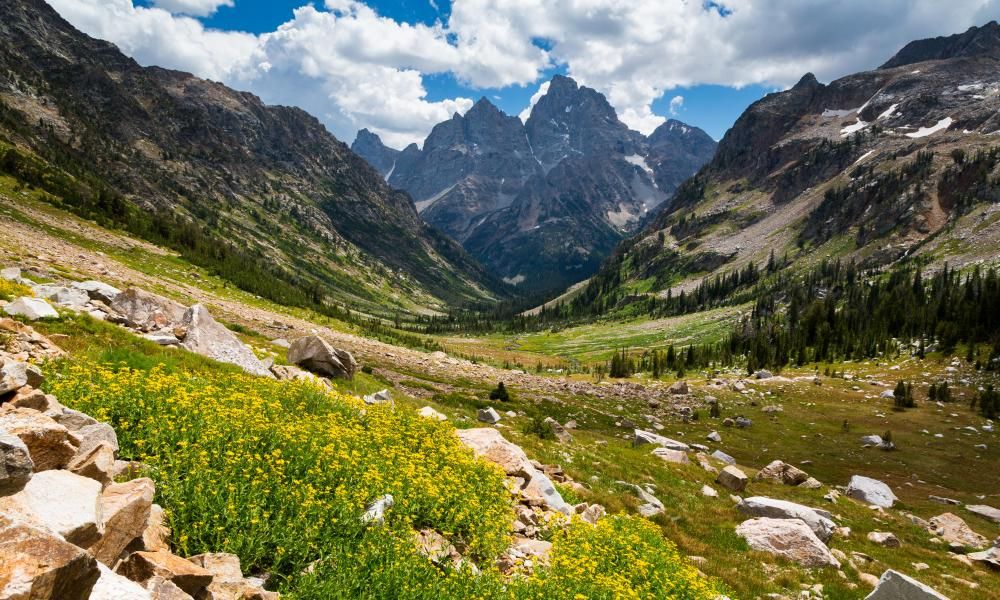 Woman Dies After Falling Off Mountain In Wyoming S   1000 