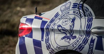 Man facing arson charges after two grassfires break out 24 hours apart