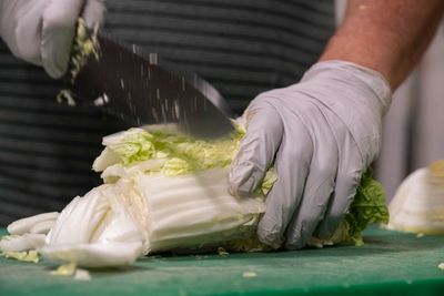 How hardworking microbes ferment cabbage into kimchi