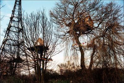 In the trees with 90s ecowarriors: Olivia Laing on Janine Wiedel’s protest photos