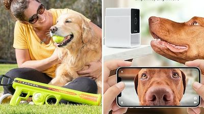 30 genius things for dogs that are a pain in the ass