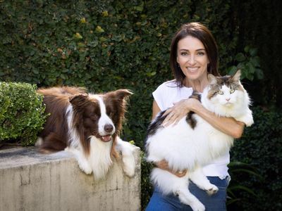 Three things with Dr Katrina Warren: ‘The more dog hair in the brush, the less in every other nook and cranny’