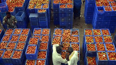 Bengaluru witnesses drop in tomato prices, bringing relief to consumers