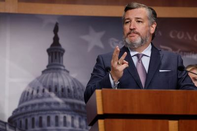 Ted Cruz rails against Hunter Biden special counsel appointment that he requested