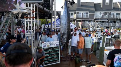 Angler Earns World Record $6.2 Million for Catching Massive Blue Marlin