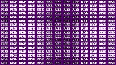 Uncover RICE Amidst the Sea of RISE: Can You Master This Challenge in Under 20 Seconds?