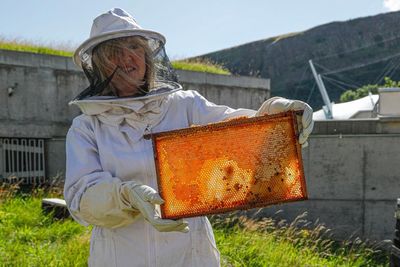 'They're loving life': Holyrood's honey bee population soars to one million