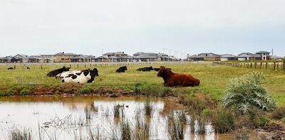 Urban sprawl is 'not a dirty word'? If the priority is to meet all kids' needs, it should be