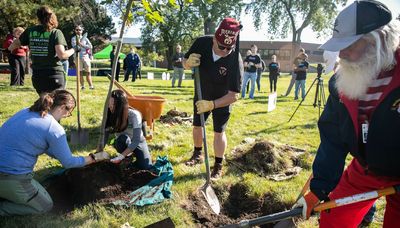 Chicago must make it a priority to plant and protect more trees