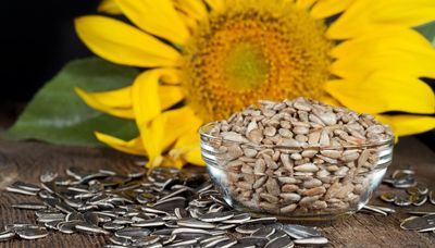 Brighten the day — and help improve your diet, health — with sunflower seeds