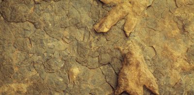 Fossil footprint discoveries and what they tell us