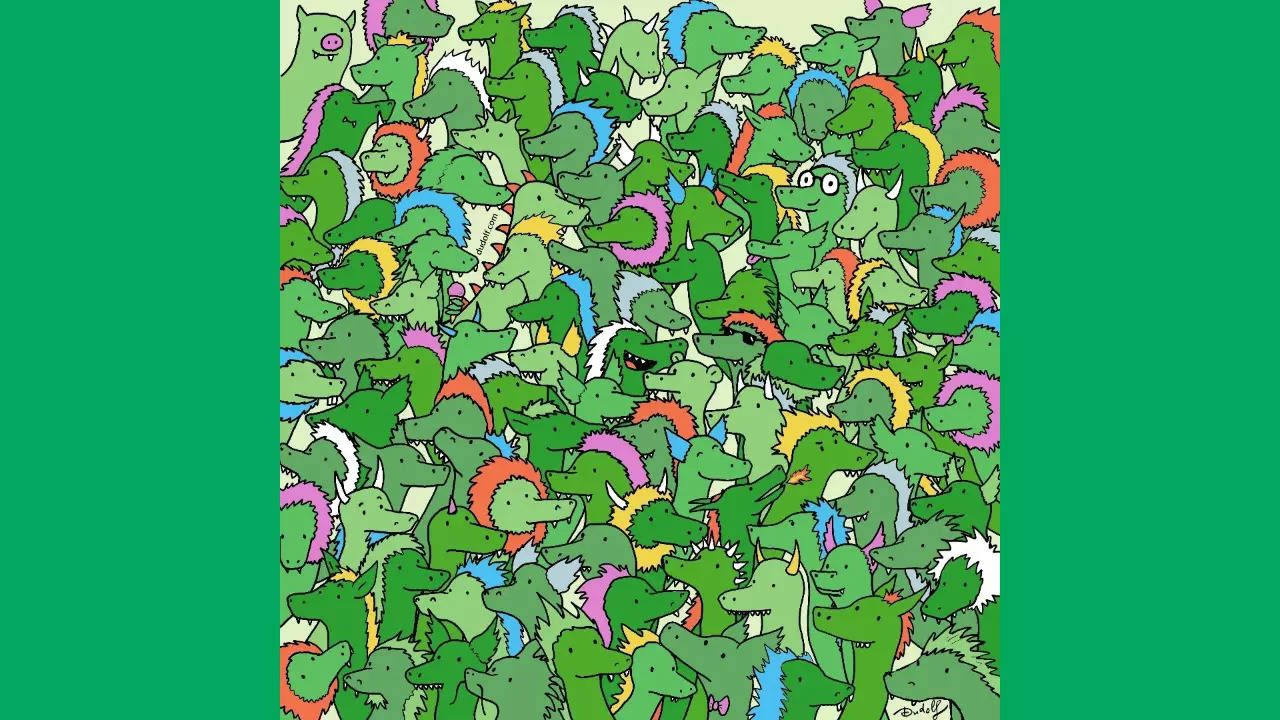 Discover the Secret Time Crocodiles Hit Hidden Waters