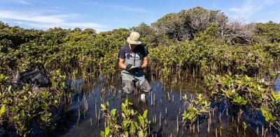 Rising methane could be a sign that Earth's climate is part-way through a 'termination-level transition'