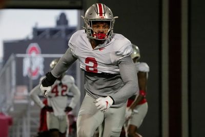 Ohio State loses linebacker for the year due to ACL tear
