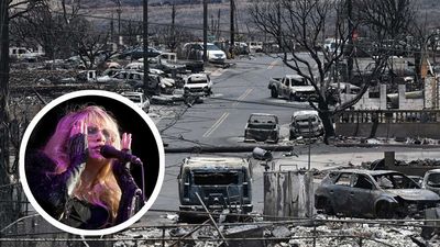 Some people on the internet are angry at Stevie Nicks for being "tone deaf" to wildfire situation in Hawaii