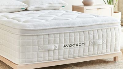 Avocado Mattress lawsuit dismissed – everything we know