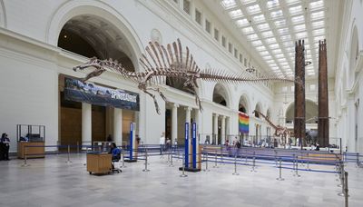 Field Museum’s newest dinosaur crowned ‘Sobek’