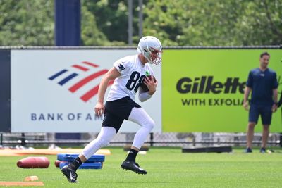 Patriots TE Mike Gesicki suffers training camp practice injury