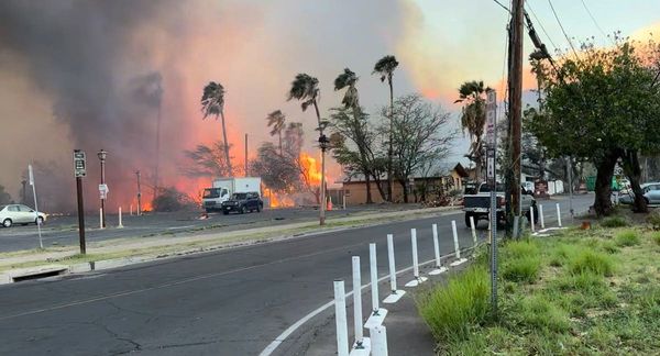 Former Saints LB Manti Te'o rallying support for Maui wildfire relief