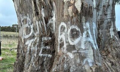 Vandals damage Indigenous birthing tree sacred to Victoria’s Djab Wurrung people