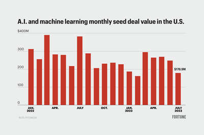 A.I. startups are losing their bloom for seed investors, argues one VC