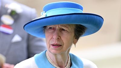 Princess Anne’s ‘all-consuming’ distraction as she becomes the last royal to experience unique heartbreak