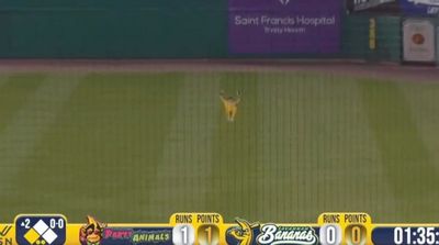 Baseball Fans Were Amazed by Backflip Catch by Savannah Bananas Center Fielder