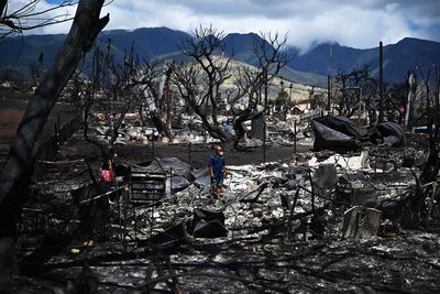 Maui survivors describe fleeing wildfire