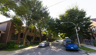 Let’s identify — and save — Chicago’s healthy, mature trees