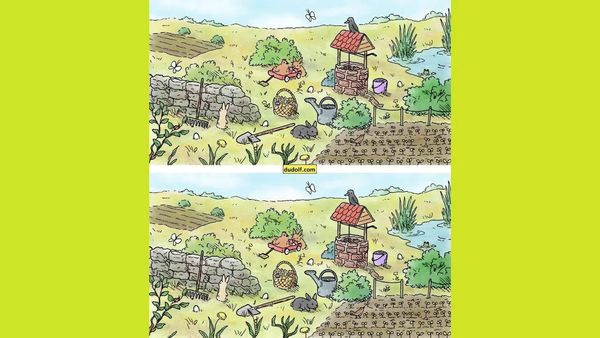 Can You Find 6 Differences Between the Images in 23 Seconds? Put Your Observation Skills to the Test!