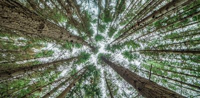 Critics of ‘degrowth’ economics say it’s unworkable – but from an ecologist's perspective, it’s inevitable