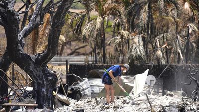 Hawaii wildfires death toll tops 100, expected to rise