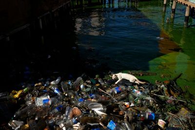 Oil, aquatic trash and toxic algae threaten life in Venezuela's Lake Maracaibo