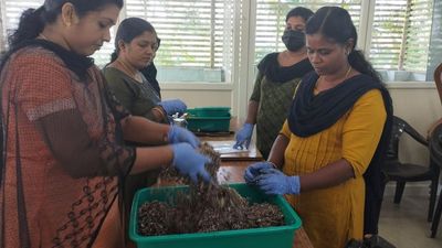 How agri-allied collectives in Thiruvananthapuram are reaping success