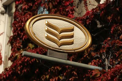 Bank of Ireland apologises over technical fault as services restored