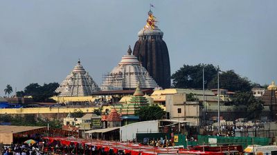 Cracks on beam of Shree Jagannath Temple’s Nata Mandap must be repaired on priority, Orissa High Court’s Amicus Curiae tells Archaeological Survey of India