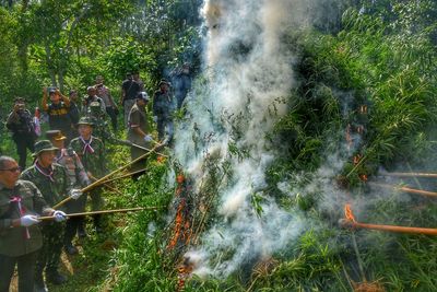 Indonesia burns marijuana plantation that was discovered by drones