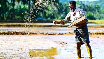 Shift in atmospheric conditions in Kerala as prolonged ‘break in monsoon’ continues