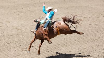 How to watch Run For A Million 2024 online: live stream horse reining rodeo from anywhere today, start time