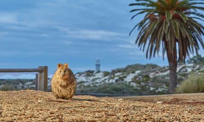 ‘I was sleeping on a gravesite’: Rottnest Island’s complex history brought to light