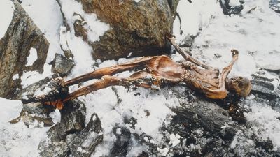 Ötzi the Iceman may have been bald and getting fat before his murder 5,300 years ago