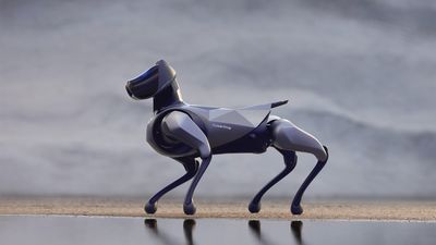 Forget Boston Dynamics, this new robotic dog can change colour