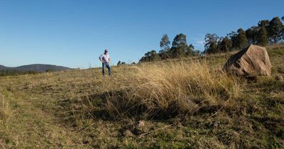 'Hell of a lot of pain': Farmers prepare for dry days as drought declared